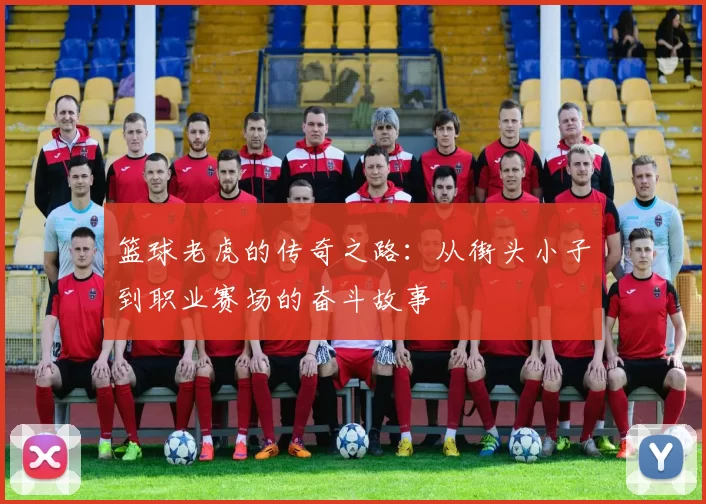 篮球老虎的传奇之路：从街头小子到职业赛场的奋斗故事